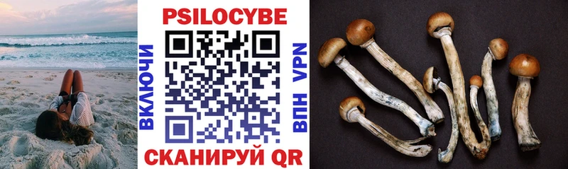 Псилоцибиновые грибы прущие грибы Пошехонье
