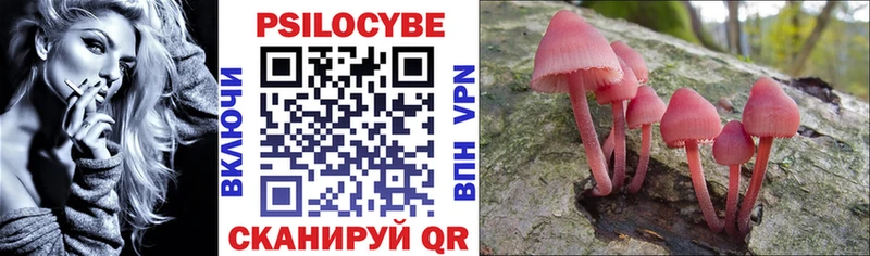 Галлюциногенные грибы Cubensis  Купить  Пошехонье 